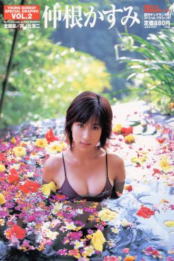 满溢游泳池志浩那里太美味了